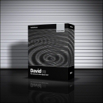David V8